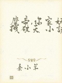 魔帝,你家妖妃拽破天 小说