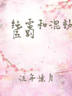 纯电和混动牌照区别