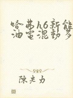 哈弗h6新能源油电混动多少钱落地