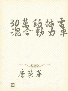 30万的插电式混合动力车型