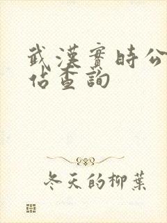 武汉实时公交到站查询