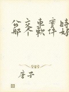 公交车实时查询哪个软件好