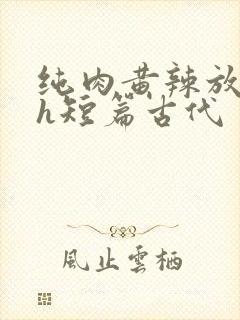 纯肉黄辣放荡高h短篇古代