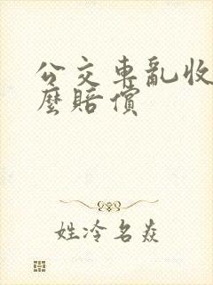 公交车乱收费怎么赔偿