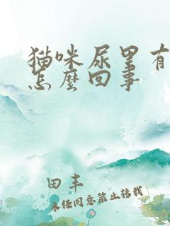 猫咪尿里有沫是怎么回事