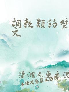 调教类的双男主文