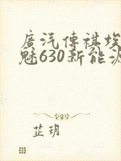 广汽传祺埃安s魅630新能源
