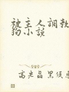 被主人调教成母狗小说