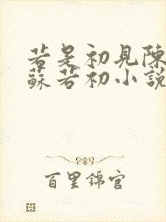 若是初见陈凡,苏若初小说免费阅读