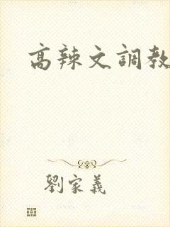 高辣文调教np