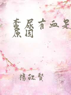 查尿有血是什么原因