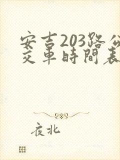 安吉203路公交车时间表