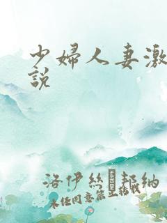 少妇人妻激情小说 少妇人妻激情小说