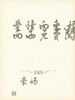 爱情向东,婚姻向西免费阅读全文