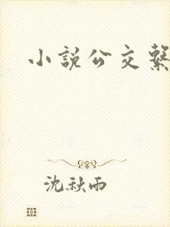 小说公交系列
