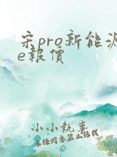 宋pro新能源e报价