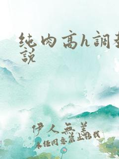 纯肉高h调教小说