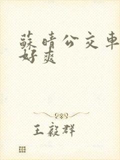 苏晴公交车被强好爽 苏晴公交车被强好爽