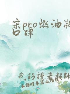 宋pro燃油版口碑