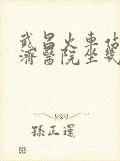 武昌火车站到同济医院坐几号地铁