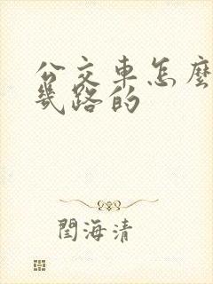 公交车怎么看是几路的