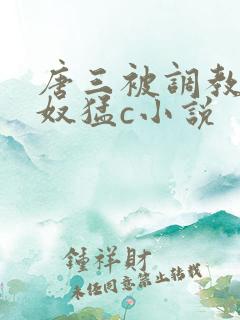 唐三被调教成肉奴猛c小说
