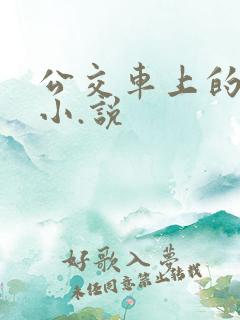公交车上的爱爱小.说
