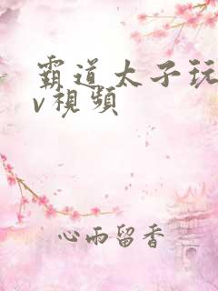 霸道太子玩奴gv视频