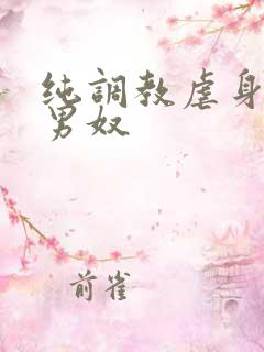 纯调教虐身惩罚男奴