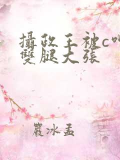 摄政王被c呻吟双腿大张