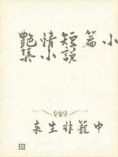 艳情短篇小说合集小说