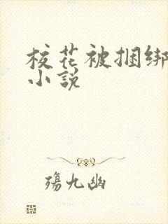 校花被捆绑调教小说