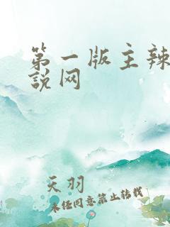 第一版主辣文小说网