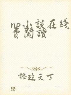 np小说在线免费阅读