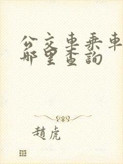 公交车乘车码在哪里查询