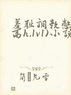 羞耻调教憋尿(高h,1v1)小说 羞耻调教憋尿(高h,1v1)小说