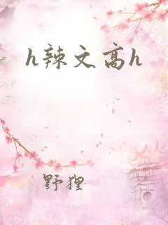 h辣文高h