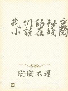 我们的秘密原著小说在线阅读
