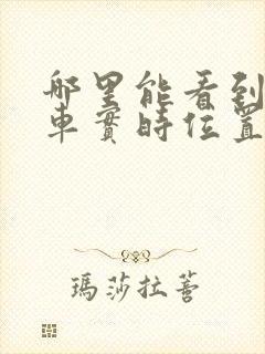 哪里能看到公交车实时位置