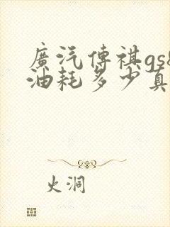 广汽传祺gs8油耗多少真实油耗
