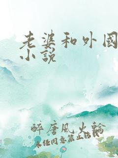 老婆和外国人的小说
