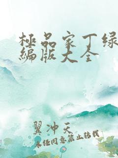 极品家丁绿帽改编版大全