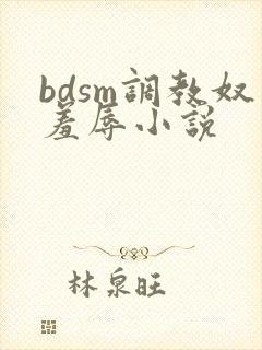 bdsm调教奴羞辱小说