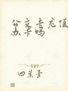 公交卡充值点能办卡吗