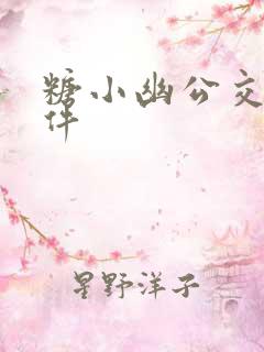 糖小幽公交车事件