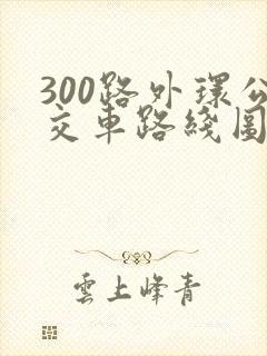 300路外环公交车路线图