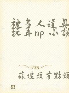 被多人道具调教玩弄np 小说