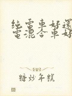 纯电车好还是油电混合车好