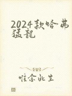 2024款哈弗猛龙