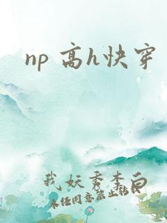 np 高h快穿